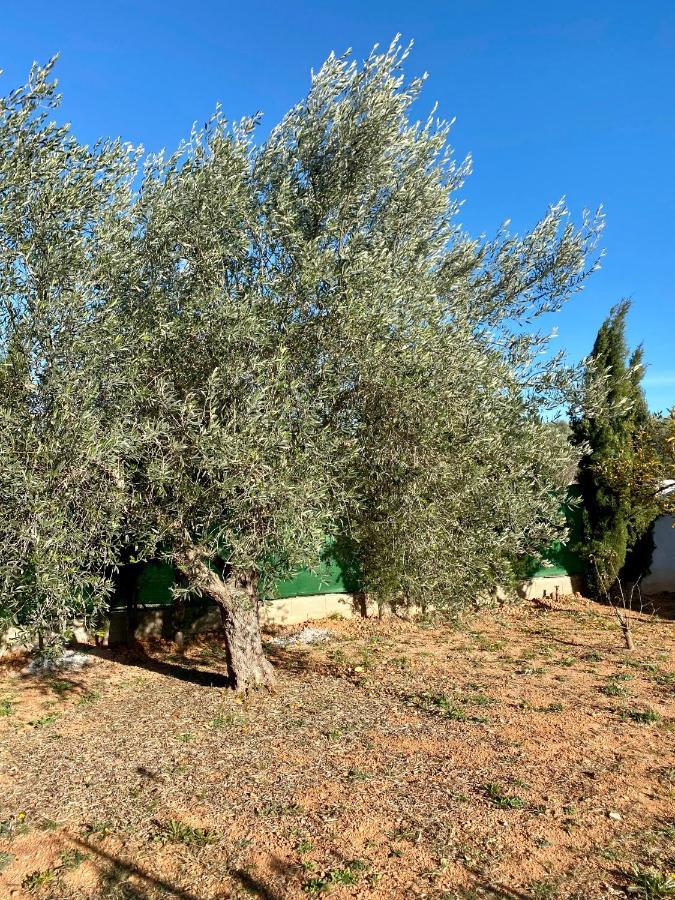 مبيت وإفطار Cálig Casa Dominaty المظهر الخارجي الصورة