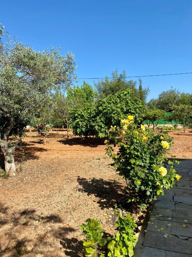 مبيت وإفطار Cálig Casa Dominaty المظهر الخارجي الصورة