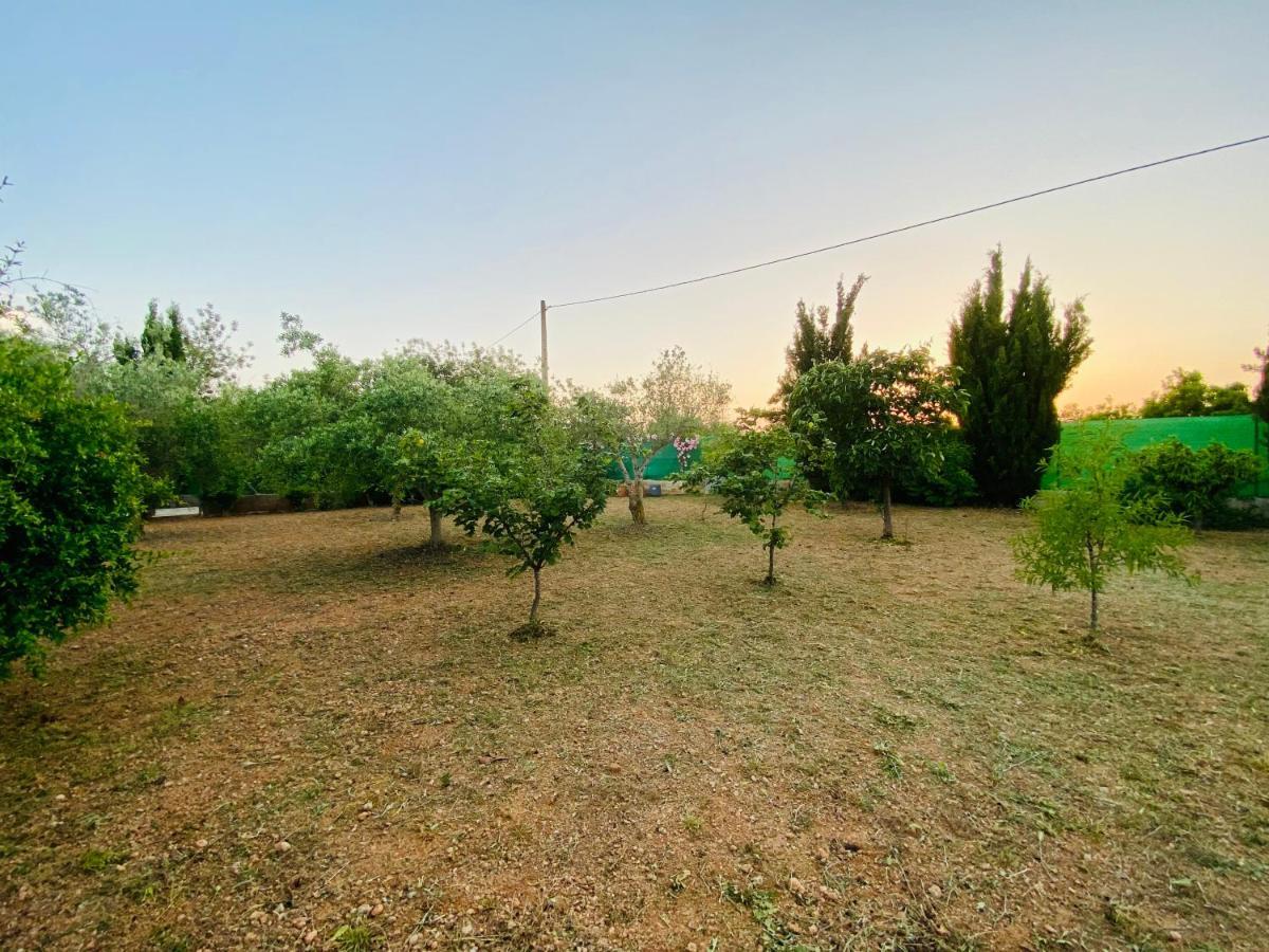 مبيت وإفطار Cálig Casa Dominaty المظهر الخارجي الصورة